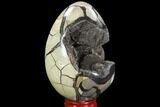 Septarian Dragon Egg Geode - Black Crystals #95941-2